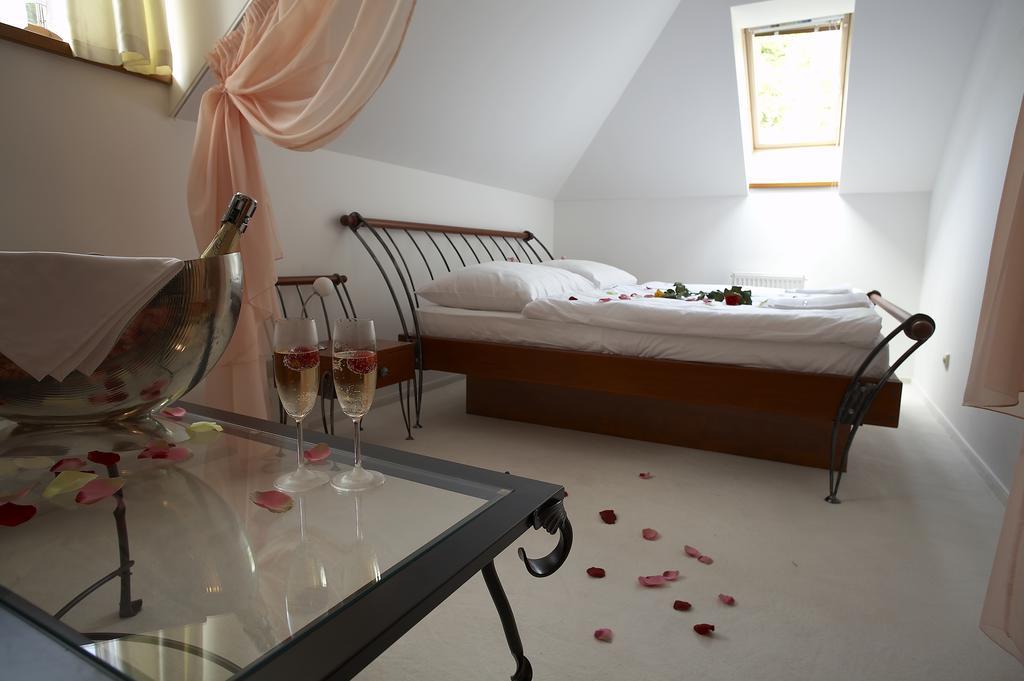 Pension Konopiste Benesov  Room photo